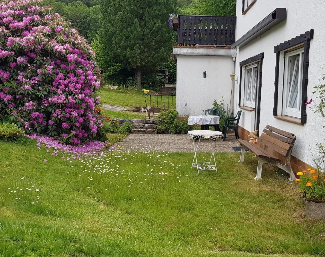 Ferienwohnung Eva Grebenhain Exterior foto